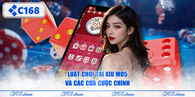 Luật chơi tài xỉu MD5 và các cửa cược chính